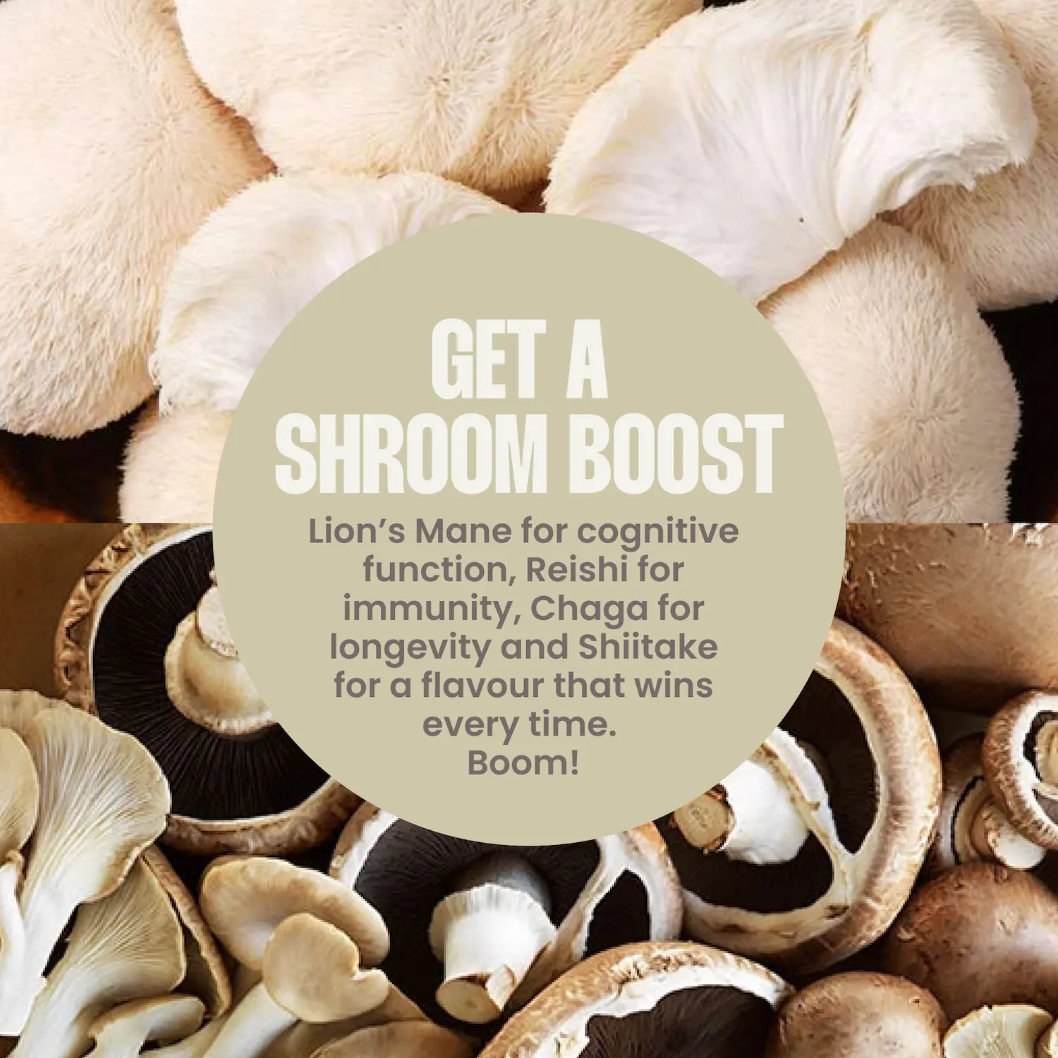Bone Broth Soup – Bundle - Image 5