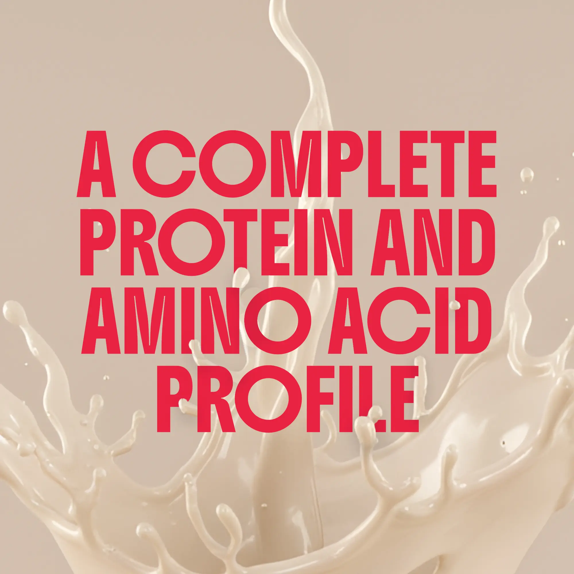Irish Cream Keto Protein Powder - Image 4