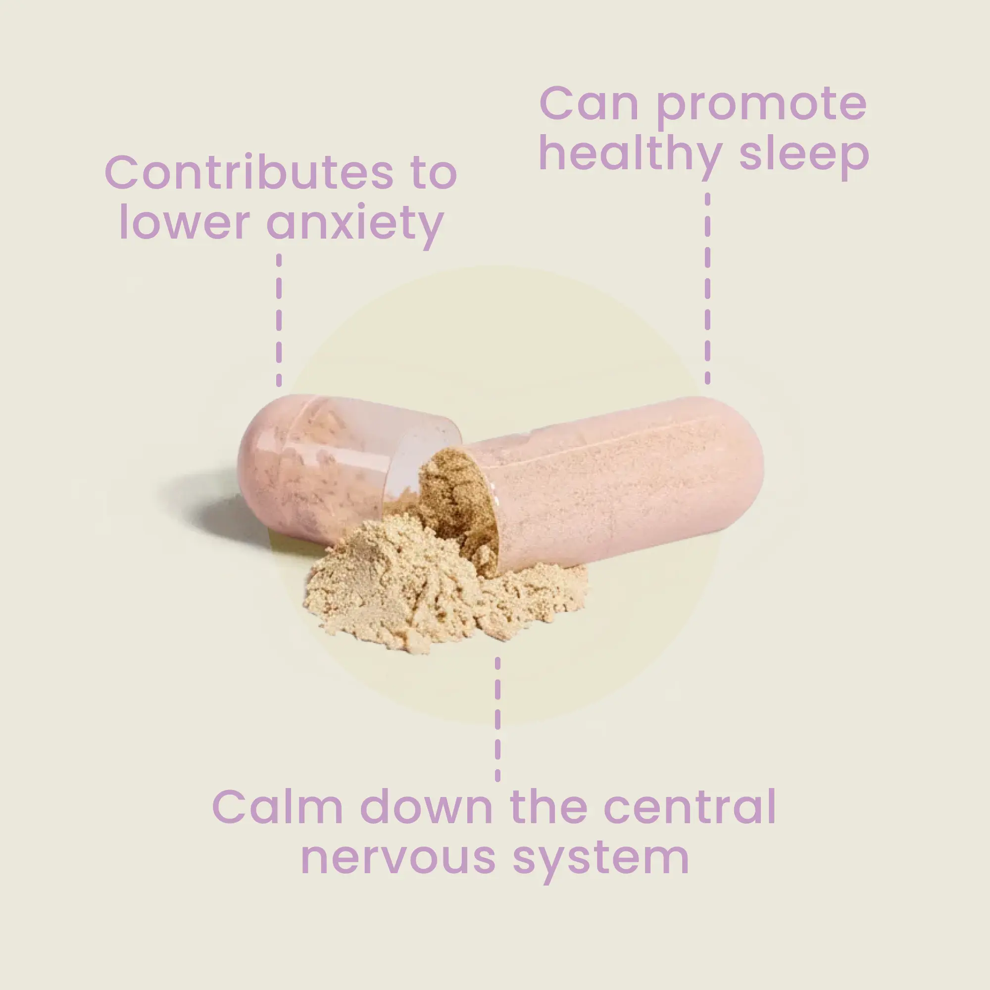 Calm – L-Theanine Supplement - Image 4