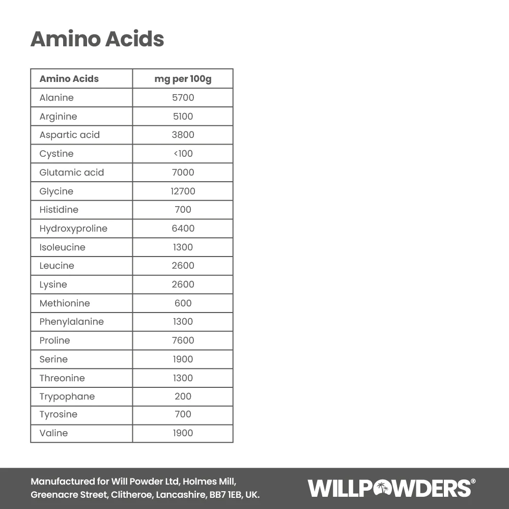 Milk Chocolate Keto Protein Powder - Image 11