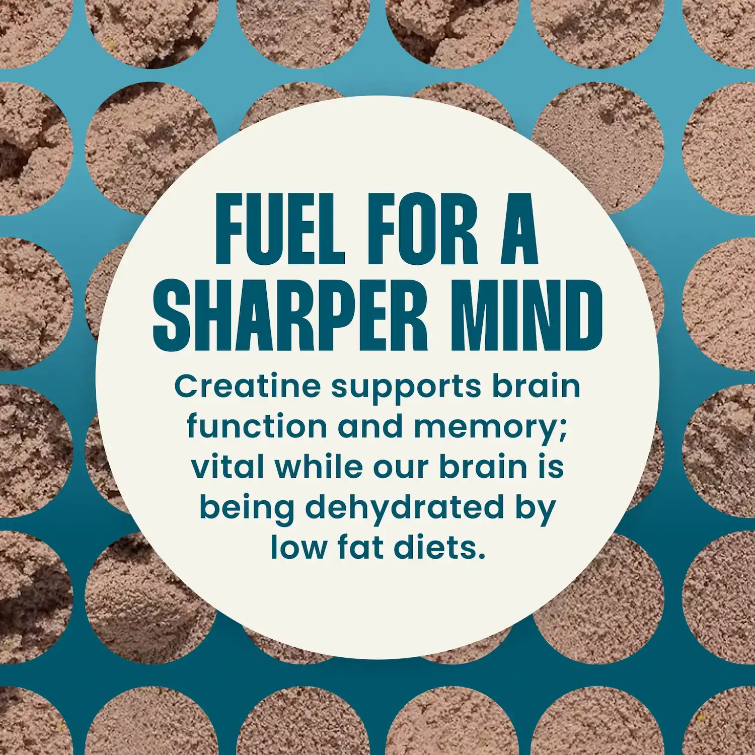 Milk Chocolate Protein Powder with Shilajit and Monocreatine - Image 7